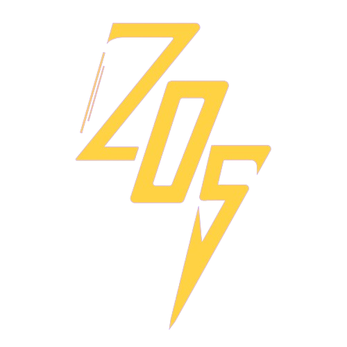 Zwasonia_Delivery_Service